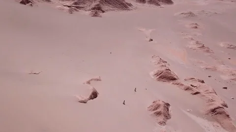 Men using a sandboard descending from a dune Stock Footage 118768301
