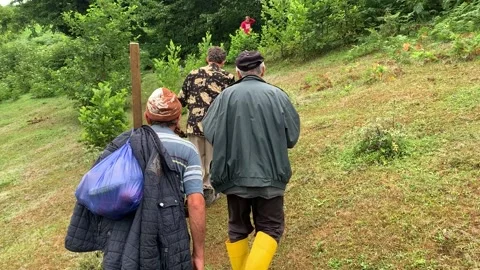 Men walk through the woods Stock Footage 153070716