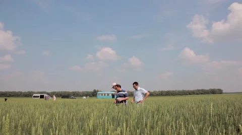 Men walking around in wheat field Stock Footage 48769483