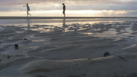 Men Walking on a Beach Around Sunset / Evening (4K) Stock Footage 109374929