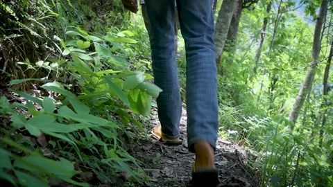 Men walking on the forest foot track with Sandile Stock Footage 155367709