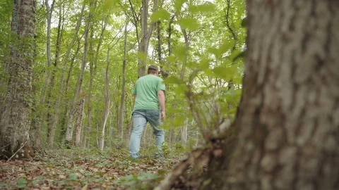 Men Walking In The Forest. Hiking Through Forest Stock Footage 112327152