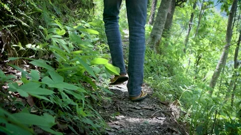 A men walking on the forest path Video stock 155367754