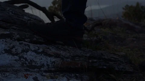 Men walking in the nature 動画素材 103803854