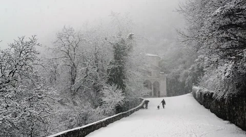 Men walking in the snowfall Stock Footage 47197734