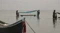 Men washing the fish net in Sri Lanka HD Footage
