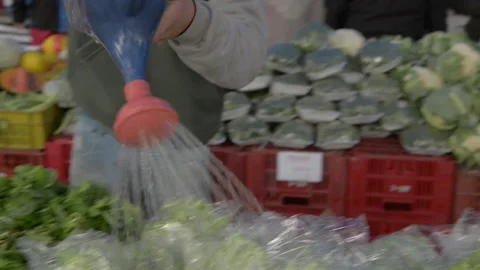 Men watering vegetables at the fair Stock Footage 186896447