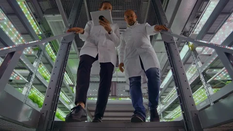 Men in white lab coats tablet computer down the stairs of a modern vertical farm Stock Footage