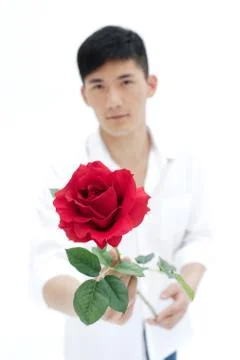 Men woo with roses Stock Photos
