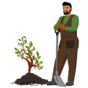 Men in work clothes with shovel stand next to young tree in heap of ground Stock Illustration