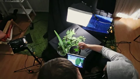 Men work on recording video of dipping leaf into water Stock Footage 231717857