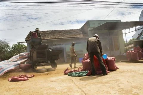Men working on coffee beans sorting machine on street in Vietnam Стоковые фото