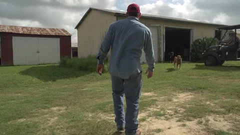 Men working on Farm Ranch and Cattle in countryside Stock Footage 110984898