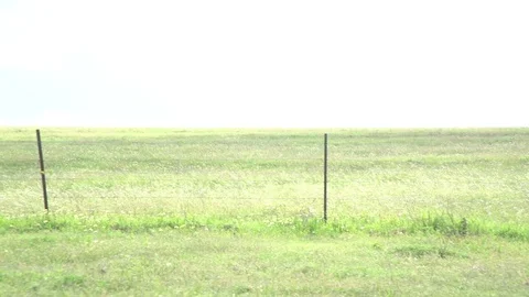 Men working on Farm Ranch and Cattle in countryside Stock Footage 110987546