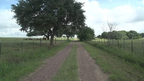 Men working on Farm Ranch and Cattle in countryside Stock Footage 110987952