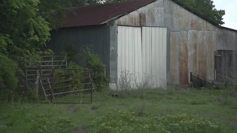 Men working on Farm Ranch and Cattle in countryside Stock Footage 110988973