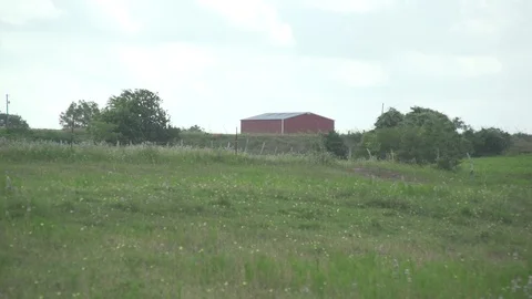 Men working on Farm Ranch and Cattle in countryside 库存影片 110989288