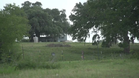 Men working on Farm Ranch and Cattle in countryside Video stock 110990151