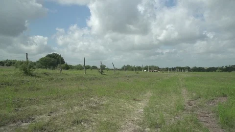 Men working on Farm Ranch and Cattle in countryside Stock Footage 110991550