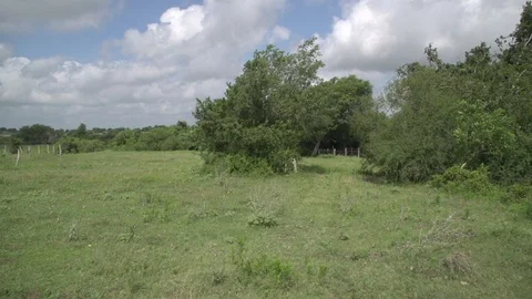 Men working on Farm Ranch and Cattle in countryside Video stock 110992686