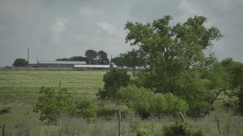 Men working on Farm Ranch and Cattle in countryside Stock Footage 110993141