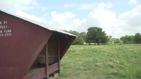 Men working on Farm Ranch and Cattle in countryside 库存影片 110993256