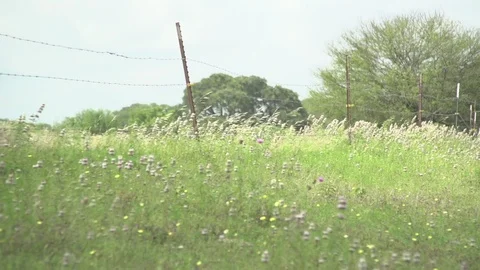 Men working on Farm Ranch and Cattle in countryside Stock Footage 110993441
