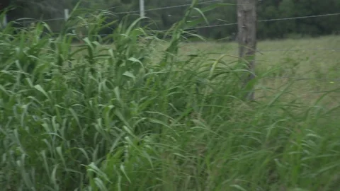 Men working on Farm Ranch and Cattle in countryside 库存影片 110996698