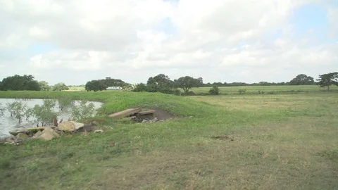 Men working on Farm Ranch and Cattle in countryside Stock Footage 110997203
