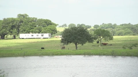 Men working on Farm Ranch and Cattle in countryside Stock Footage 110997621