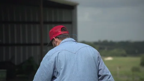 Men working on Farm Ranch and Cattle in countryside Stock Footage 111000011