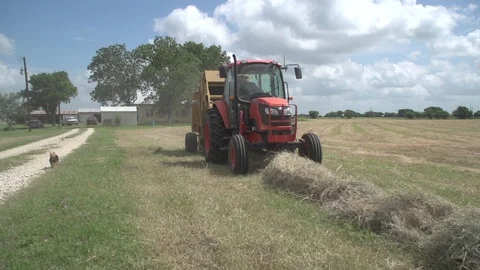 Men working on Farm Ranch and Cattle in countryside 库存影片 111006434