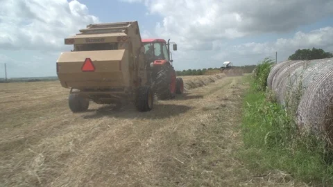 Men working on Farm Ranch and Cattle in countryside Stock Footage 111006975