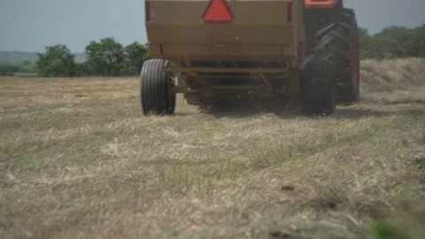 Men working on Farm Ranch and Cattle in countryside Video stock 111007438