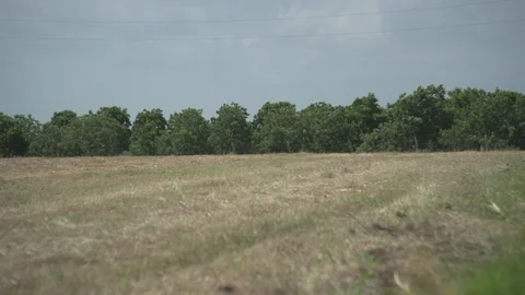 Men working on Farm Ranch and Cattle in countryside Stock Footage 111009766