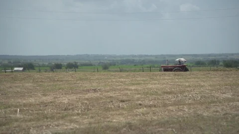 Men working on Farm Ranch and Cattle in countryside Stock Footage 111010982