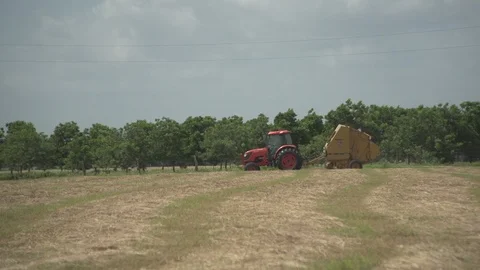 Men working on Farm Ranch and Cattle in countryside Stock Footage 111011342