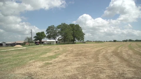 Men working on Farm Ranch and Cattle in countryside Stock Footage 111015654