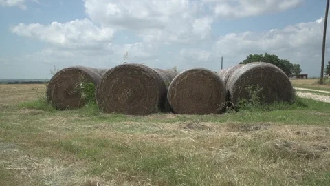 Men working on Farm Ranch and Cattle in countryside Stock Footage 111017074
