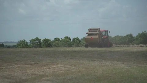 Men working on Farm Ranch and Cattle in countryside Stock Footage 111020114