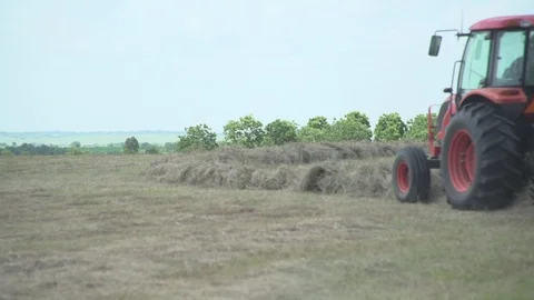 Men working on Farm Ranch and Cattle in countryside Stock Footage 111020472
