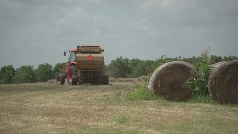 Men working on Farm Ranch and Cattle in countryside Stock Footage 111020946