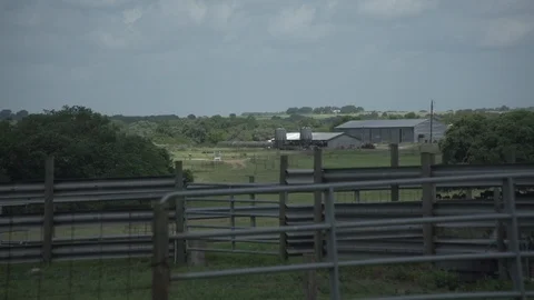 Men working on Farm Ranch and Cattle in countryside Stock Footage 111021657