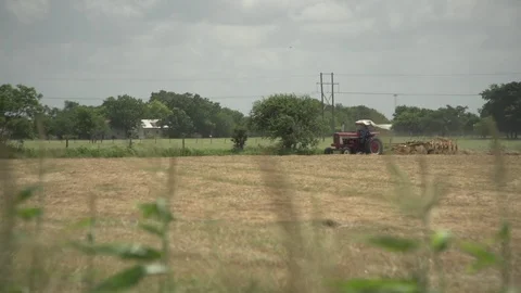 Men working on Farm Ranch and Cattle in countryside Stock Footage 111022065
