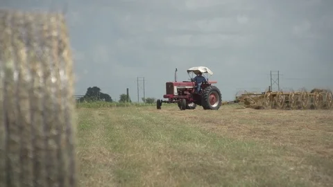 Men working on Farm Ranch and Cattle in countryside 库存影片 111022095