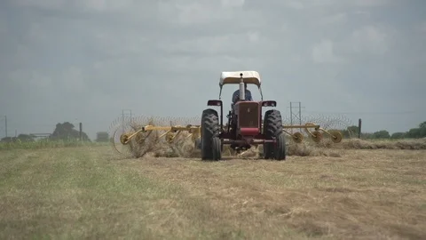 Men working on Farm Ranch and Cattle in countryside Video stock 111022865