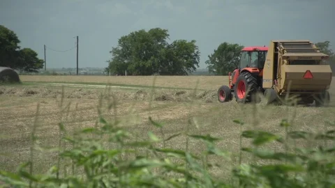 Men working on Farm Ranch and Cattle in countryside Stock Footage 111025978