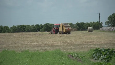 Men working on Farm Ranch and Cattle in countryside Stock Footage 111026397