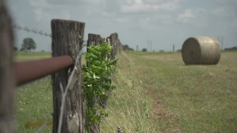 Men working on Farm Ranch and Cattle in countryside 库存影片 111026736
