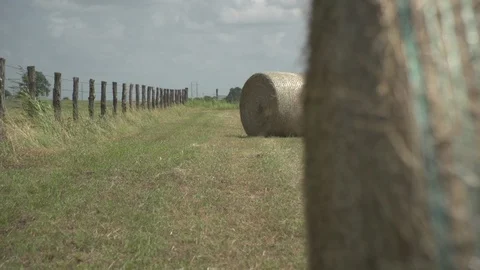 Men working on Farm Ranch and Cattle in countryside Stock Footage 111026743